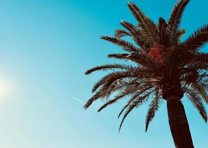 Sejour Confortable A Deux Pas De La *